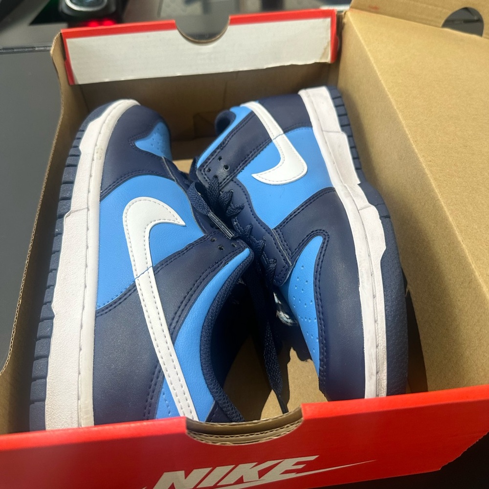 Nike Dunks